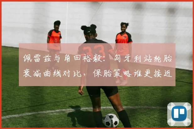 佩雷兹与角田裕毅：匈牙利站轮胎衰减曲线对比，保胎策略谁更接近理想方案？